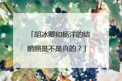 胡冰卿和杨洋的结婚照是不是真的？