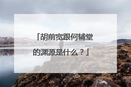 胡前宽跟何辅堂的渊源是什么？