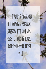 胡宇威曝订婚后陈庭妮改口叫老公，他们是如何相识的？