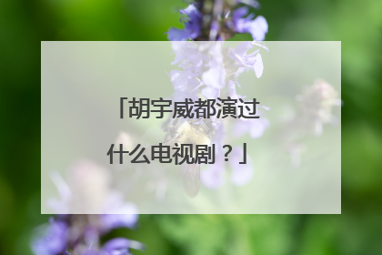 胡宇威都演过什么电视剧？