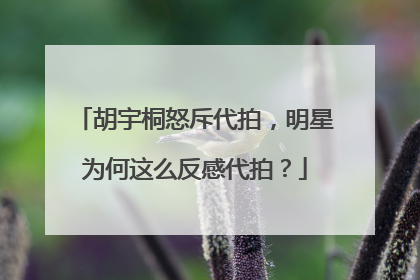 胡宇桐怒斥代拍，明星为何这么反感代拍？
