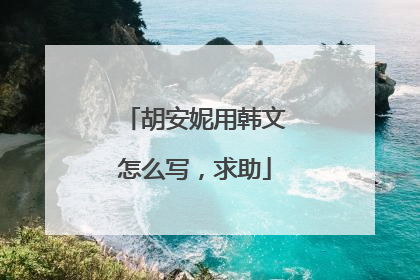 胡安妮用韩文怎么写，求助