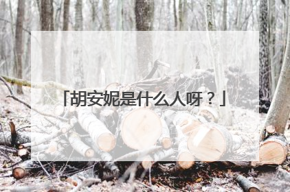 胡安妮是什么人呀?