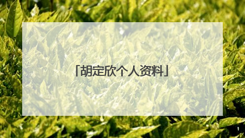 胡定欣个人资料