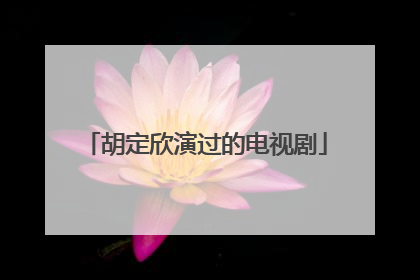 胡定欣演过的电视剧