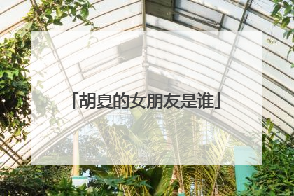 胡夏的女朋友是谁