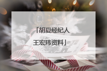 胡夏经纪人王宏玮资料