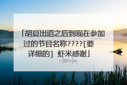 胡夏出道之后到现在参加过的节目名称????[要详细的] 虾米感谢