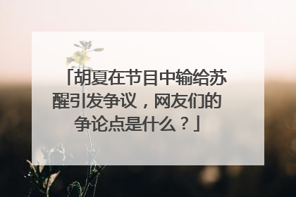 胡夏在节目中输给苏醒引发争议，网友们的争论点是什么？