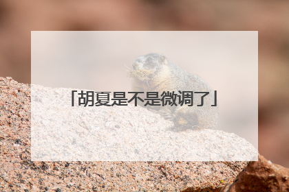 胡夏是不是微调了