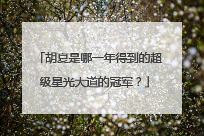 胡夏是哪一年得到的超级星光大道的冠军?