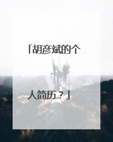 胡彦斌的个人简历?