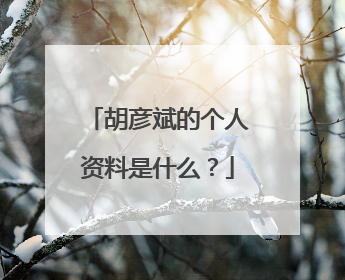 胡彦斌的个人资料是什么？