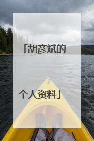 胡彦斌的个人资料