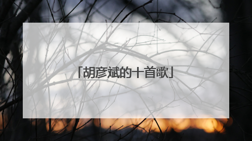 胡彦斌的十首歌