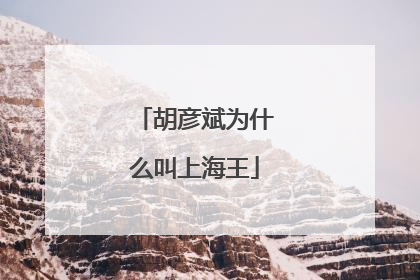 胡彦斌为什么叫上海王