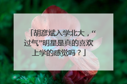 胡彦斌入学北大,“过气”明星是真的喜欢上学的感觉吗?