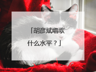 胡彦斌唱歌什么水平?