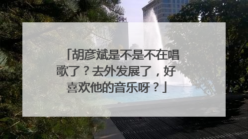 胡彦斌是不是不在唱歌了？去外发展了，好喜欢他的音乐呀？