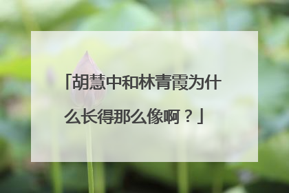 胡慧中和林青霞为什么长得那么像啊？