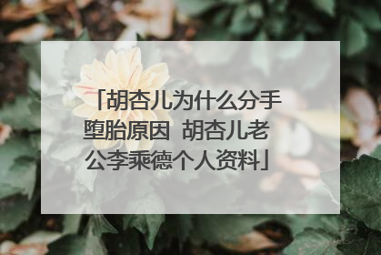 胡杏儿为什么分手堕胎原因 胡杏儿老公李乘德个人资料