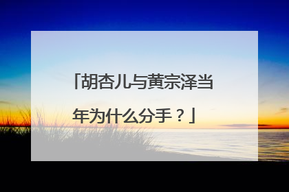 胡杏儿与黄宗泽当年为什么分手?