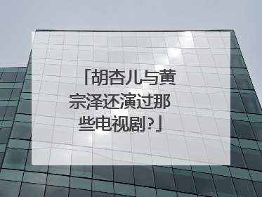 胡杏儿与黄宗泽还演过那些电视剧?