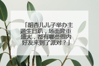 胡杏儿儿子举办主题生日趴,场面隆重盛大,都有哪些圈内好友来到了派对?