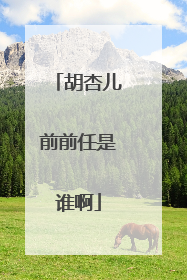 胡杏儿前前任是谁啊