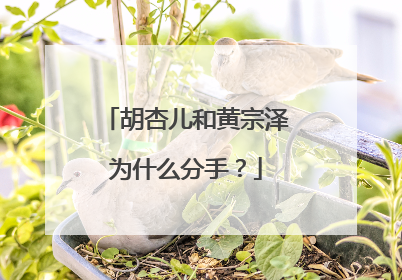 胡杏儿和黄宗泽为什么分手？