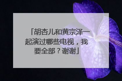 胡杏儿和黄宗泽一起演过哪些电视，我要全部？谢谢