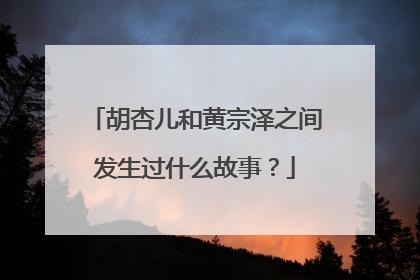 胡杏儿和黄宗泽之间发生过什么故事?