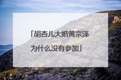 胡杏儿大婚黄宗泽为什么没有参加