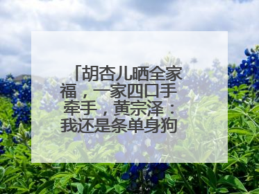 胡杏儿晒全家福，一家四口手牵手，黄宗泽：我还是条单身狗，如何看？