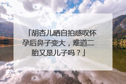 胡杏儿晒自拍感叹怀孕后鼻子变大,难道二胎又是儿子吗?