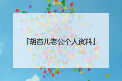 胡杏儿老公个人资料