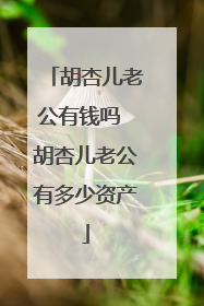 胡杏儿老公有钱吗 胡杏儿老公有多少资产