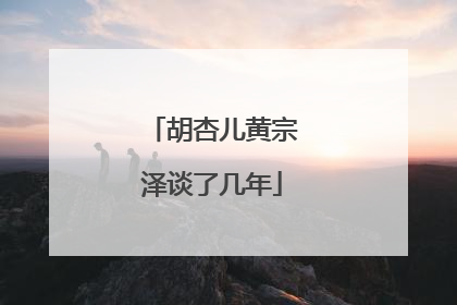 胡杏儿黄宗泽谈了几年