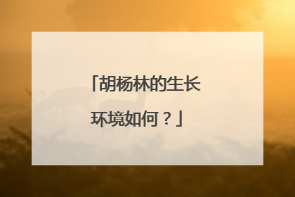 胡杨林的生长环境如何？
