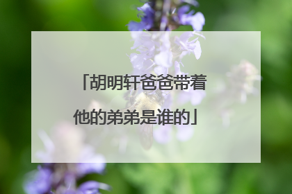 胡明轩爸爸带着他的弟弟是谁的