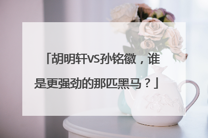 胡明轩VS孙铭徽，谁是更强劲的那匹黑马？