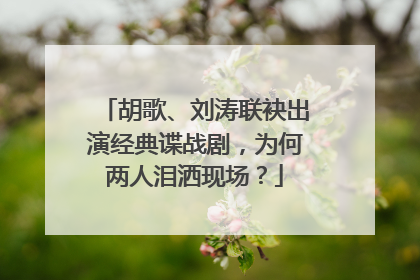 胡歌、刘涛联袂出演经典谍战剧，为何两人泪洒现场？