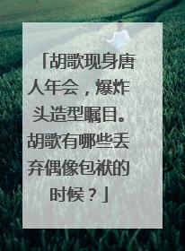 胡歌现身唐人年会，爆炸头造型瞩目。胡歌有哪些丢弃偶像包袱的时候？