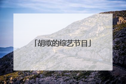 胡歌的综艺节目