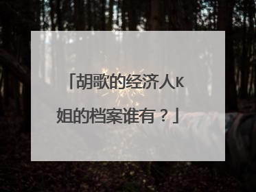 胡歌的经济人K姐的档案谁有?