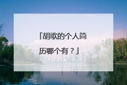 胡歌的个人简历哪个有?