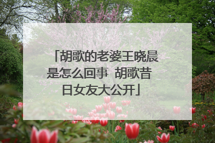 胡歌的老婆王晓晨是怎么回事 胡歌昔日女友大公开