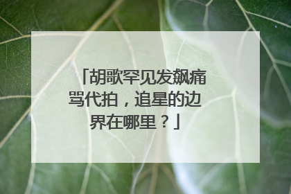 胡歌罕见发飙痛骂代拍,追星的边界在哪里?