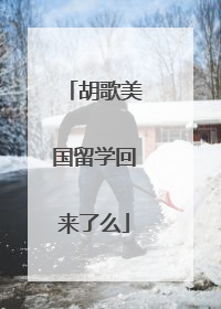 胡歌美国留学回来了么