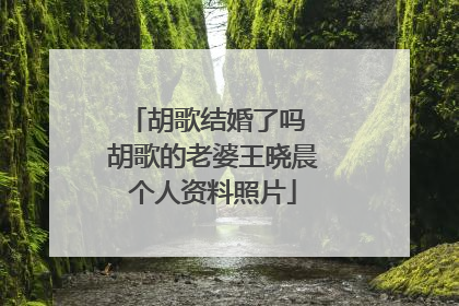 胡歌结婚了吗 胡歌的老婆王晓晨个人资料照片